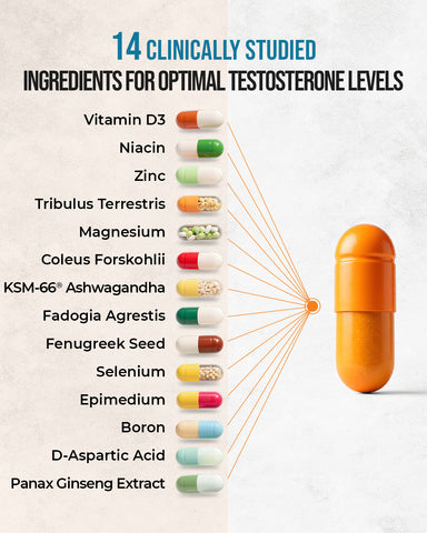 a capsule depicting the 14 in 1 testosterone supplement breakdown