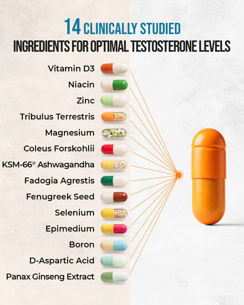 a capsule depicting the 14 in 1 testosterone supplement breakdown